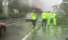 山竹爆料深圳视频最新,揭秘城市生活背后不为人知的真相